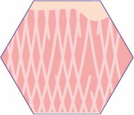 CRISTAL Skin Straffung des Bindegewebes CRISTAL Skin Straffung des Bindegewebes